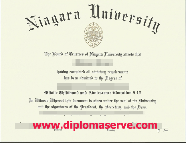 Niagara University degree