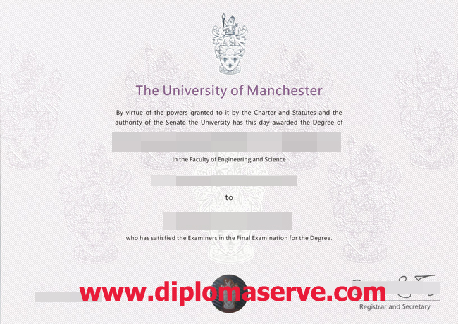 university of Manchester degree