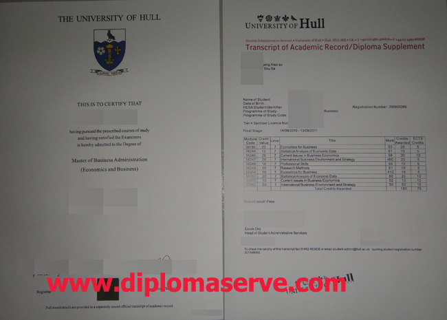 the university of hull degree