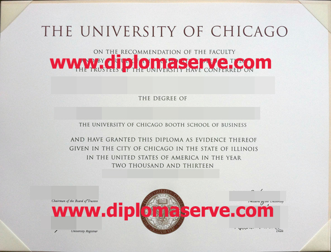 the university of chicago degree
