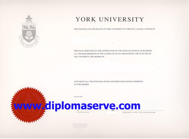 York university degree