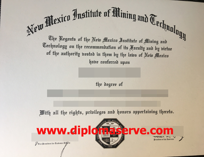 New Mexico institute of mining and technology degree
