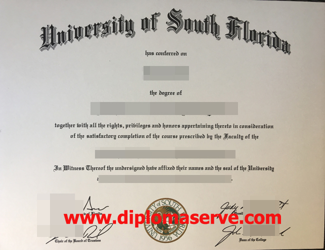 university of south florida degree