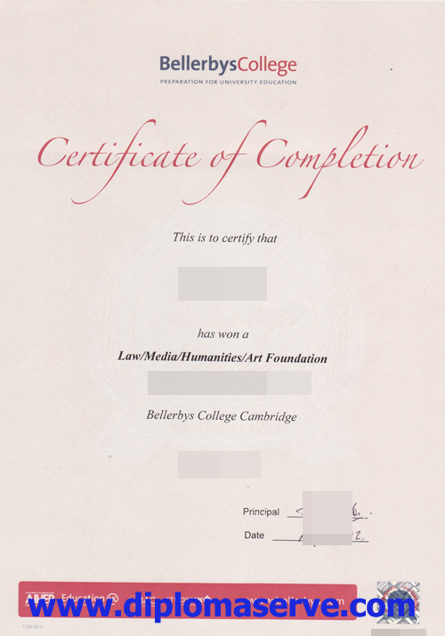 Bellerbys College degree